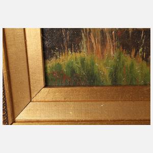 Prof. Emil August Theodor Wennerwald, Sommer am Weiher