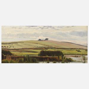 Prof. Emil August Theodor Wennerwald, Sommer am Weiher