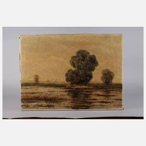 R. v. Scheiber, Moorlandschaft