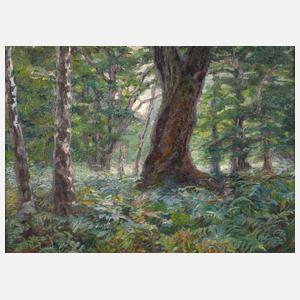 Frieda von Düring, Waldinneres