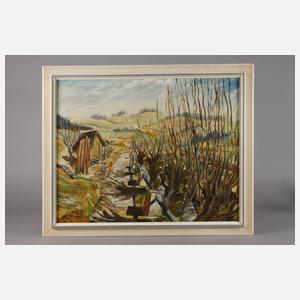 Steppe, Kopfweiden in Oberfranken