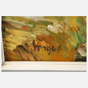 Steppe, Kopfweiden in Oberfranken