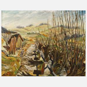 Steppe, Kopfweiden in Oberfranken