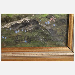 Blick auf den Watzmann