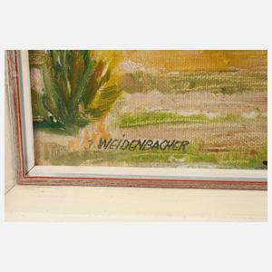 Josef Weidenbacher, Frühlingshaftes Dorf in Voralpenlandschaft