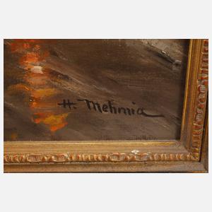 Hamid Mehrnia, Abendliche Stadtansicht