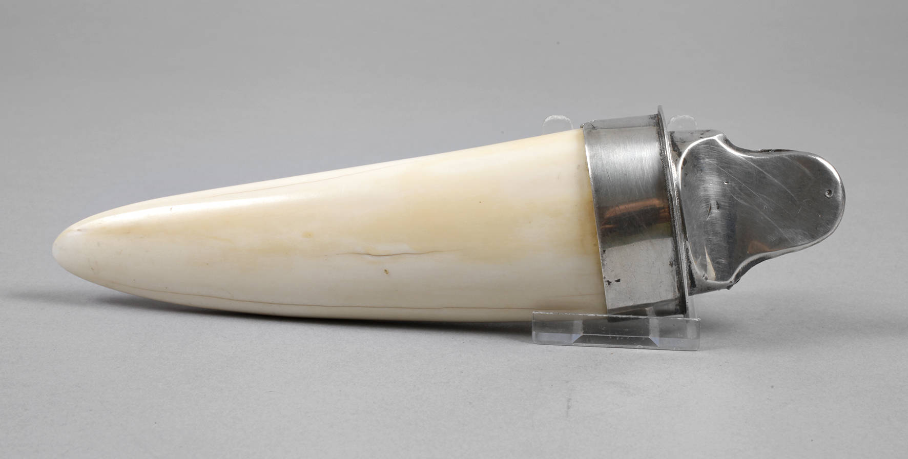 Walrosszahn als Objekthalter