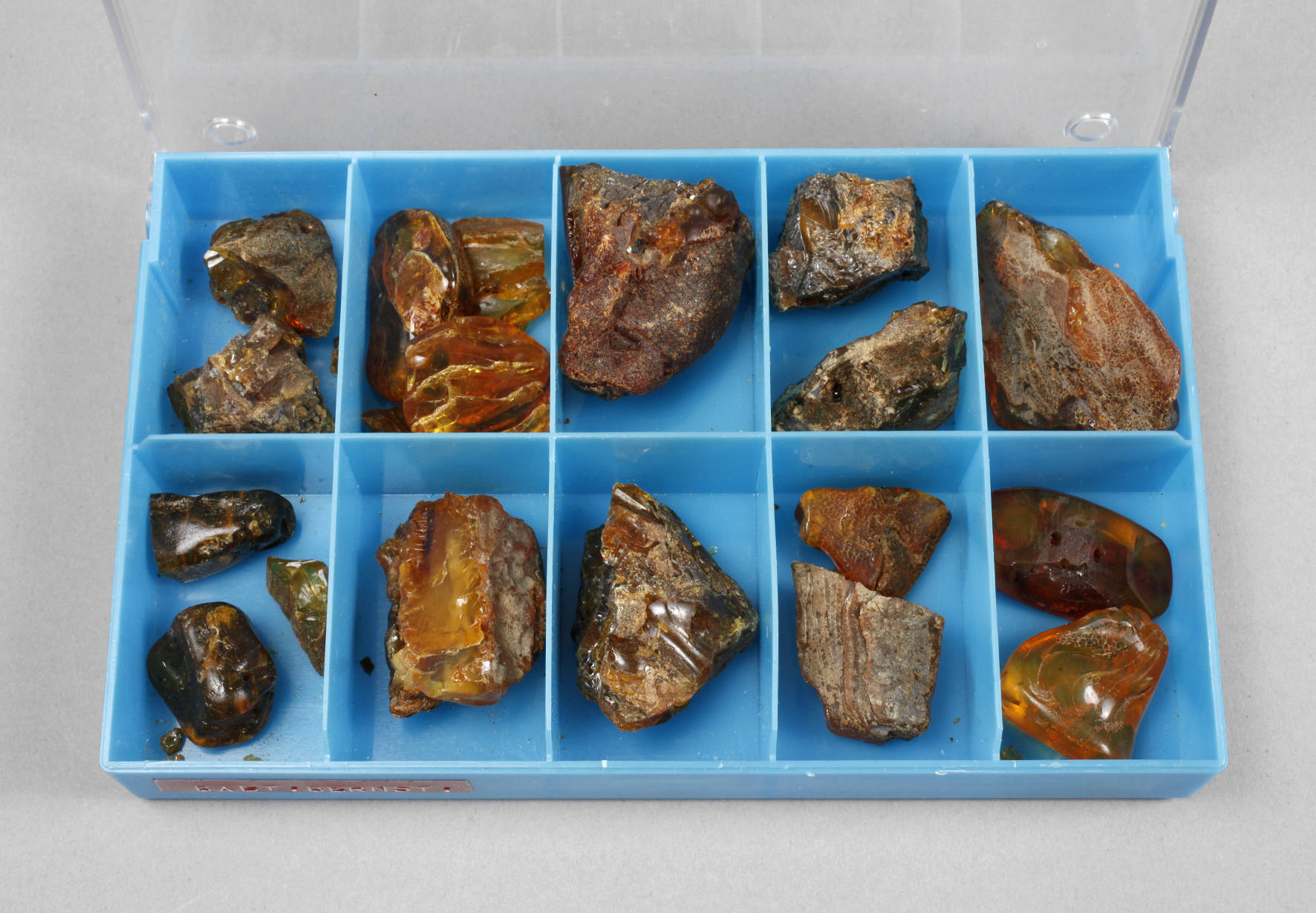 Sammlung  Bernsteine