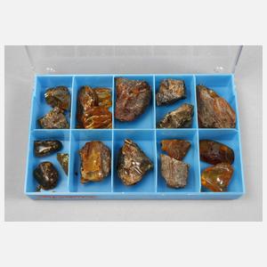 Sammlung  Bernsteine