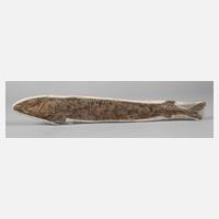 Versteinerter Knochenfisch111