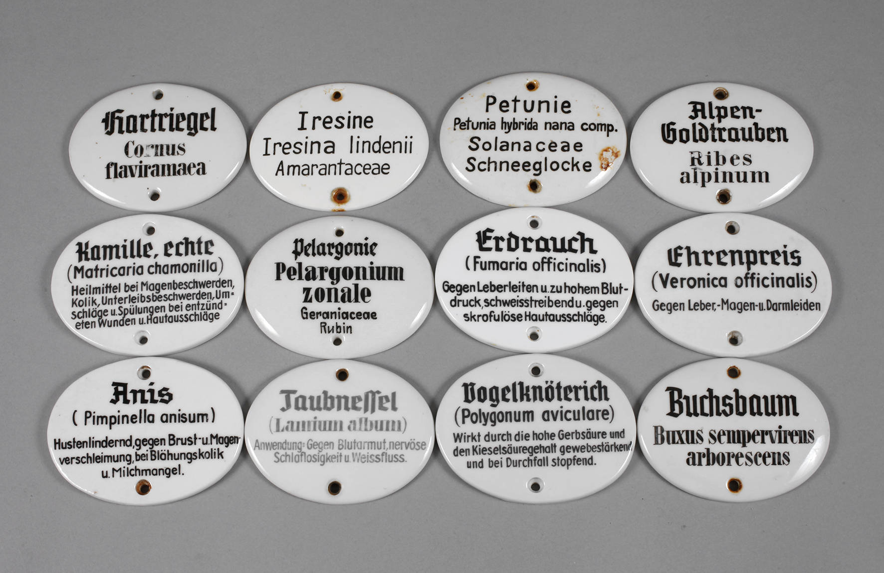 Konvolut Apothekerschilder