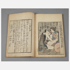 Shunga Buch