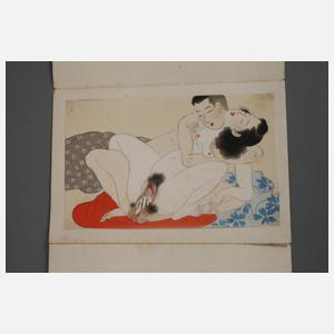 Zwei Shunga-Bücher