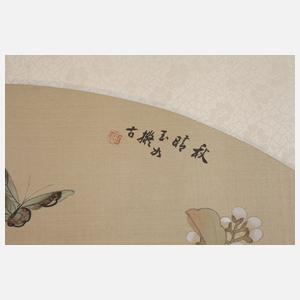 Zwei Fächerbespannungen