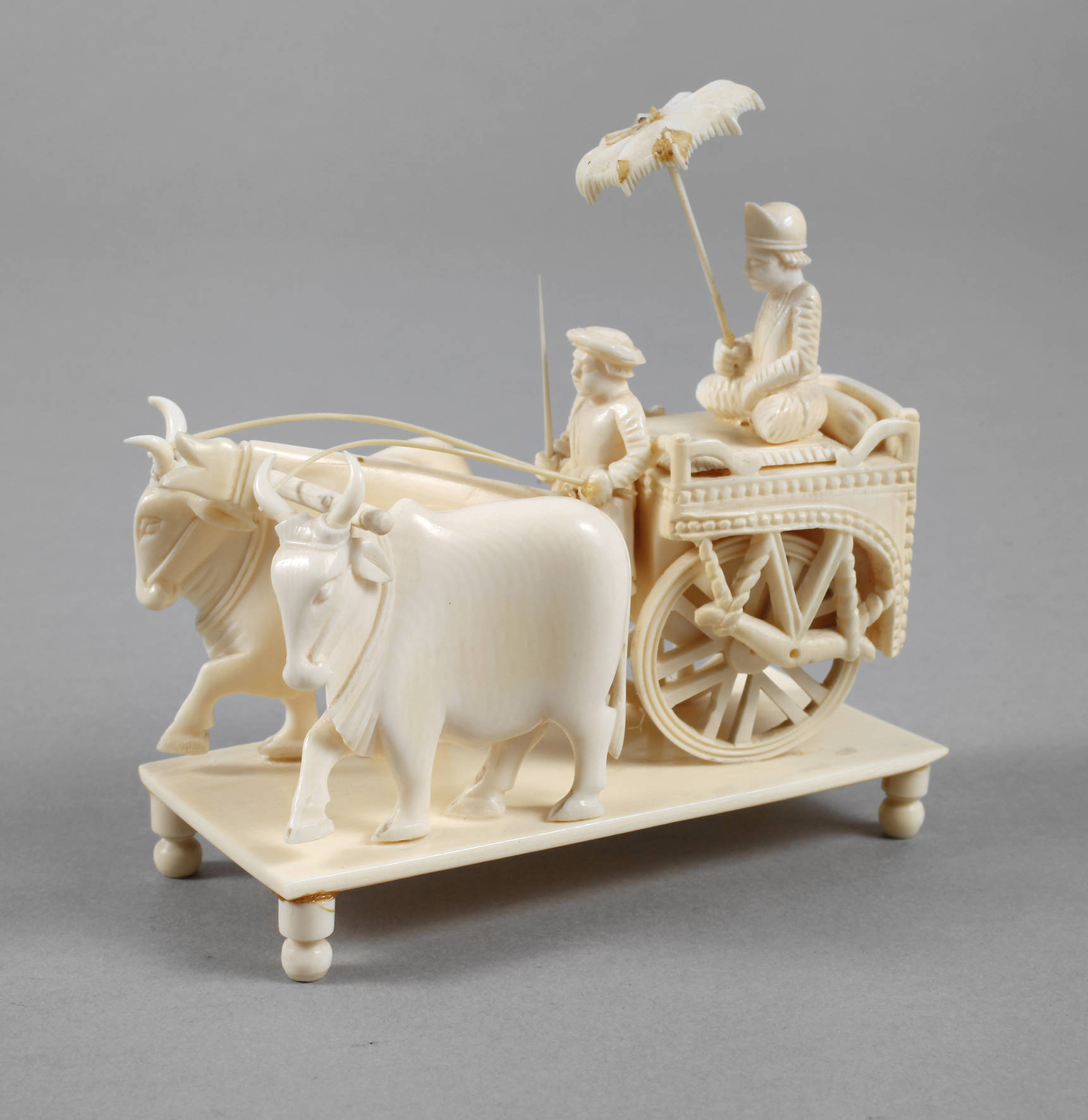 Ochsengespann Elfenbein