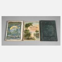 Konvolut Fachliteratur Gewächshausbau111