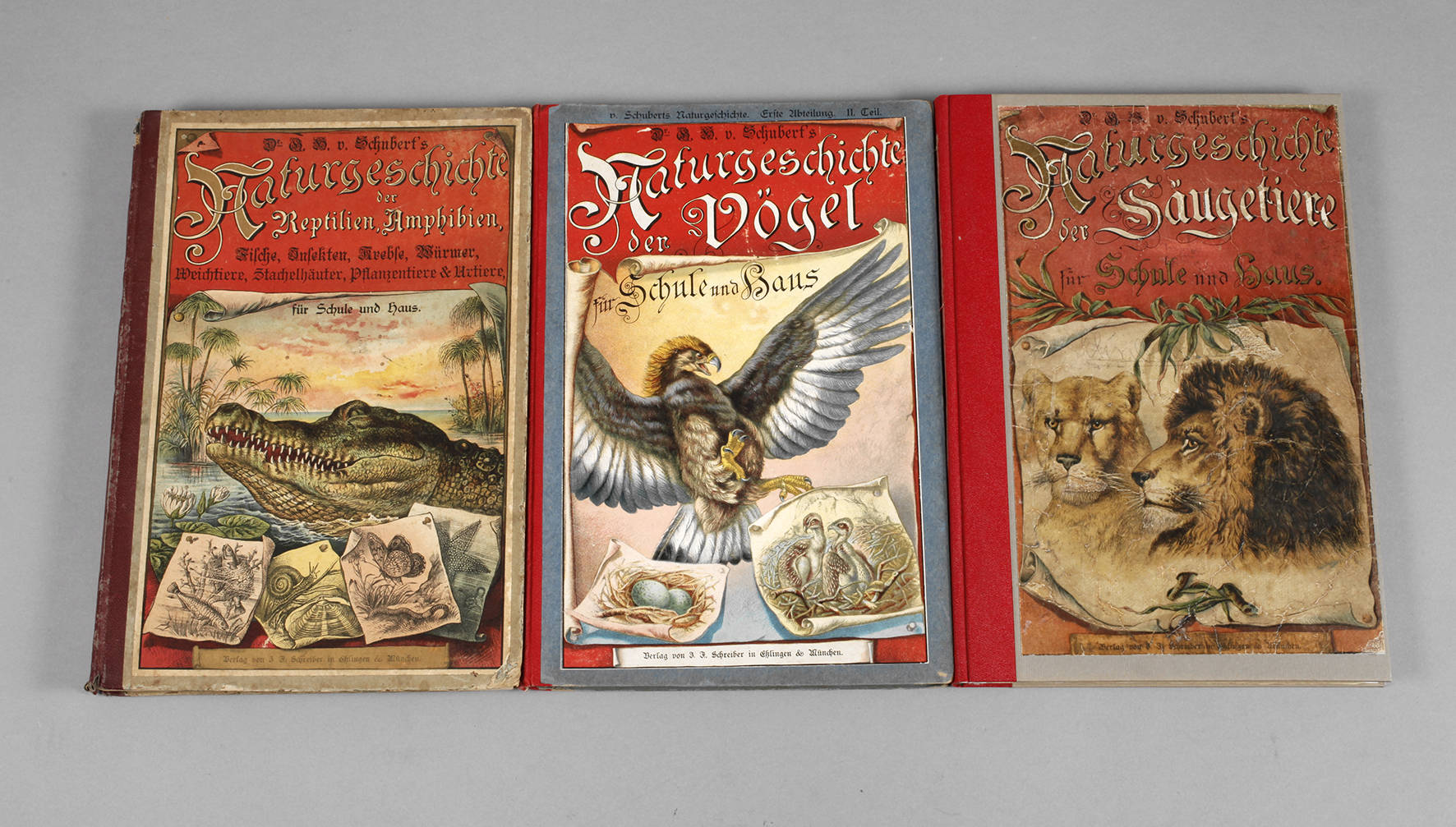 Schuberts Naturgeschichte