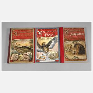 Schuberts Naturgeschichte