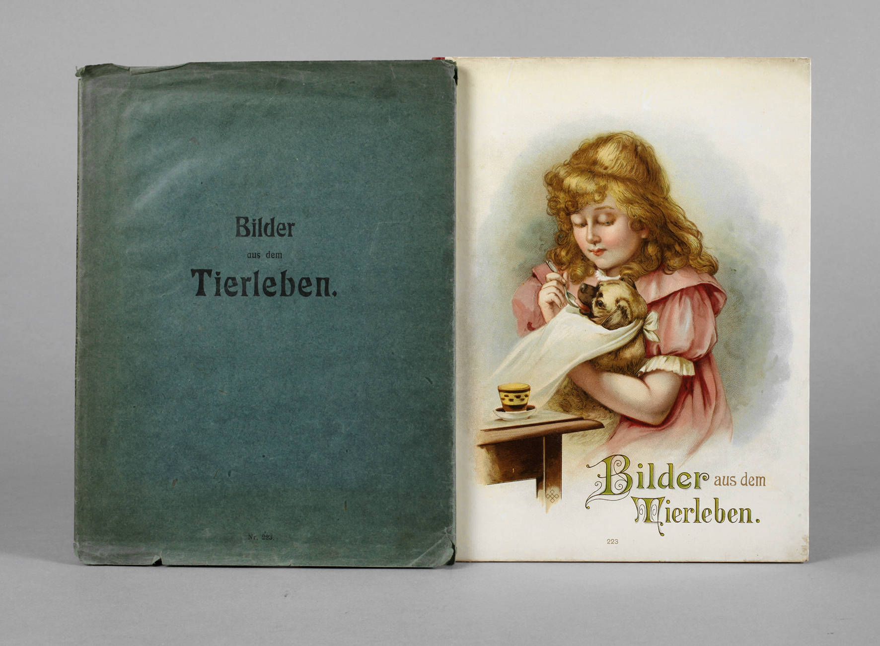 Bilder aus dem Tierleben