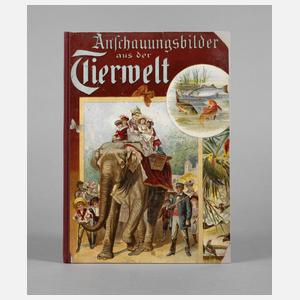 Anschauungsbilder aus der Tierwelt