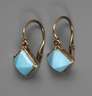 Paar Ohrhänger mit Türkis