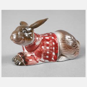 Häschen im Pullover