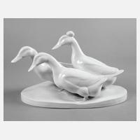 Heubach große Entengruppe111