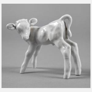 Meissen Kalb Willi Münch-Khe