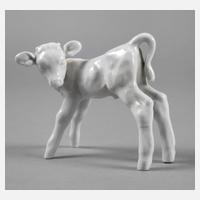 Meissen Kalb Willi Münch-Khe111