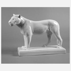 Meissen Löwin August Gaul