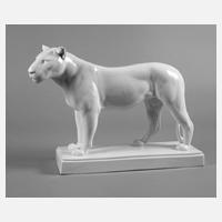 Meissen Löwin August Gaul111