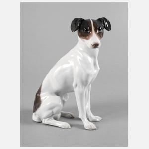 Rosenthal Foxterrier