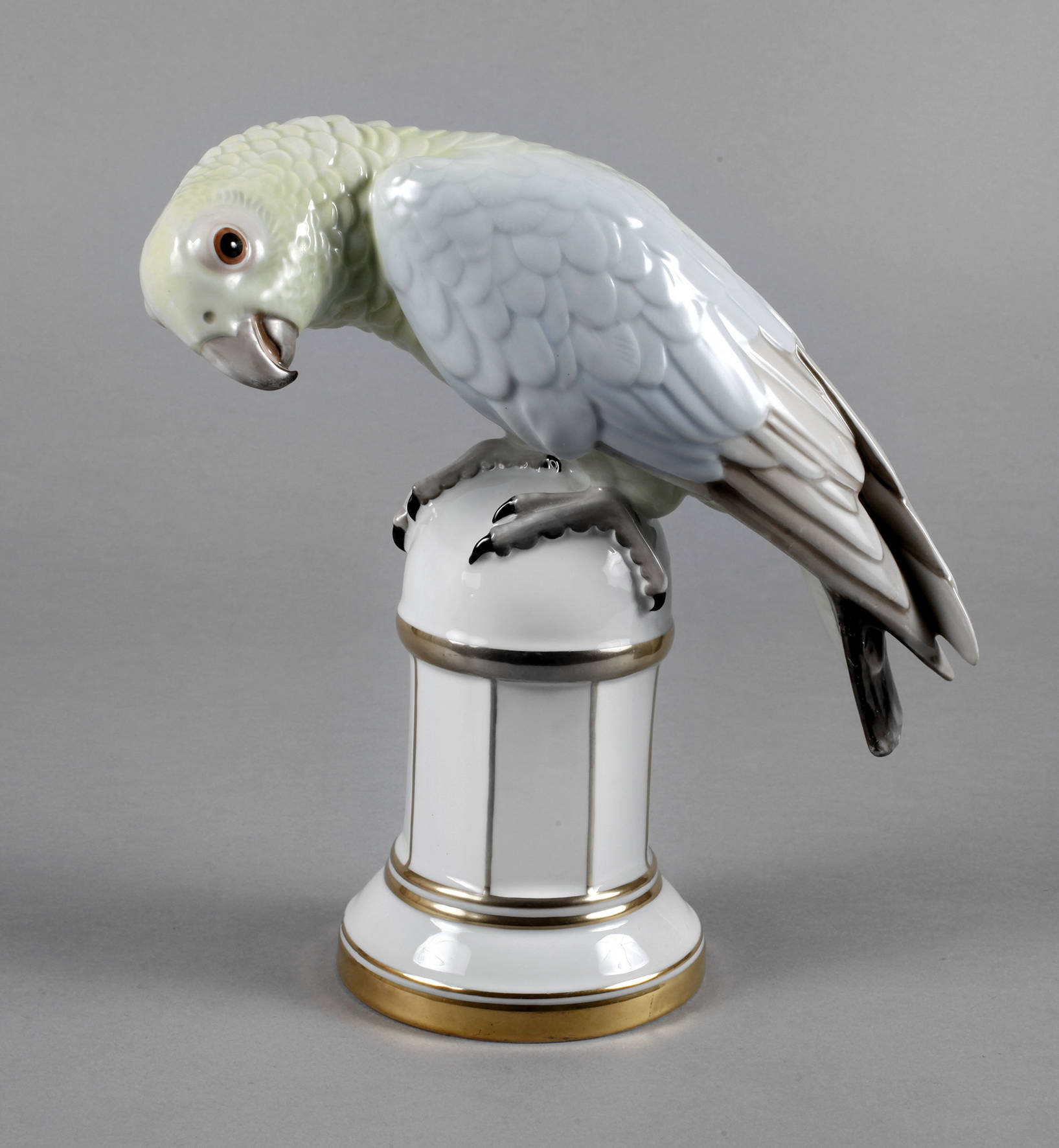 Zeh Scherzer Papagei auf Podest