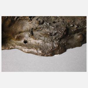 Giovanni De Martino Krabbenfischer