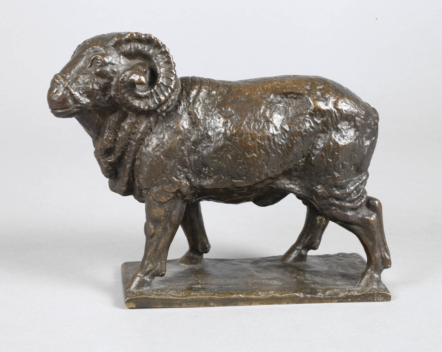 Melchior von Hugo, Widder