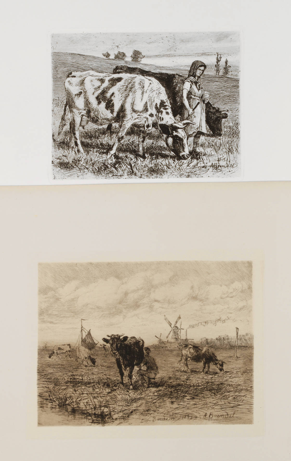 Prof. Albert Brendel, Zwei Graphiken mit Kühen