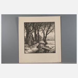 Daniel Staschus, „Winterabend“