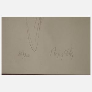 Régis Dho, tanzende Schönheit