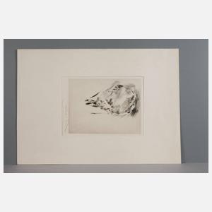 Prof. Wilhelm Funk, Herrenportrait