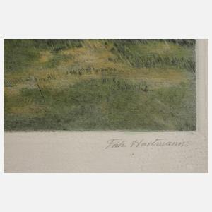 Fritz Hartmann, „Alte Weiden“