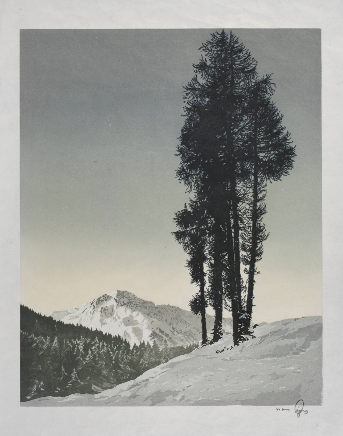 Hans Figura, „Föhren am Hang“