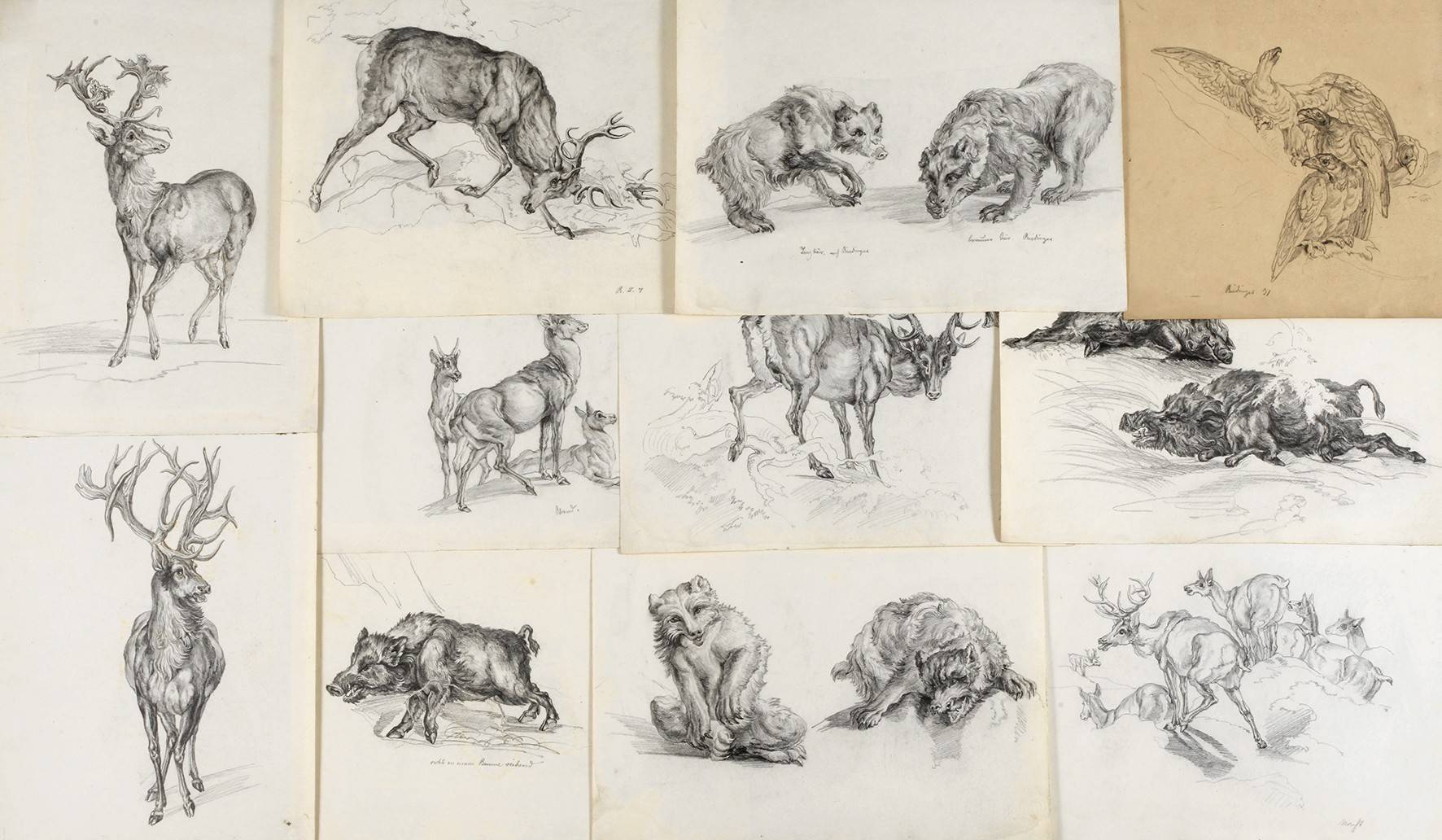 Konvolut Zeichnungen nach Johann Elias Ridinger