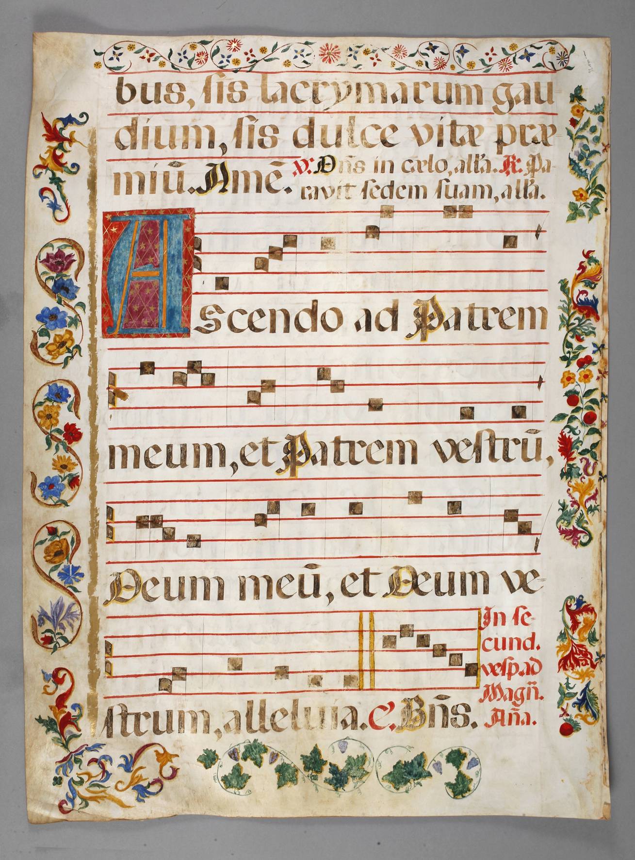 Prachtvolles Antiphonarblatt 18. Jh.