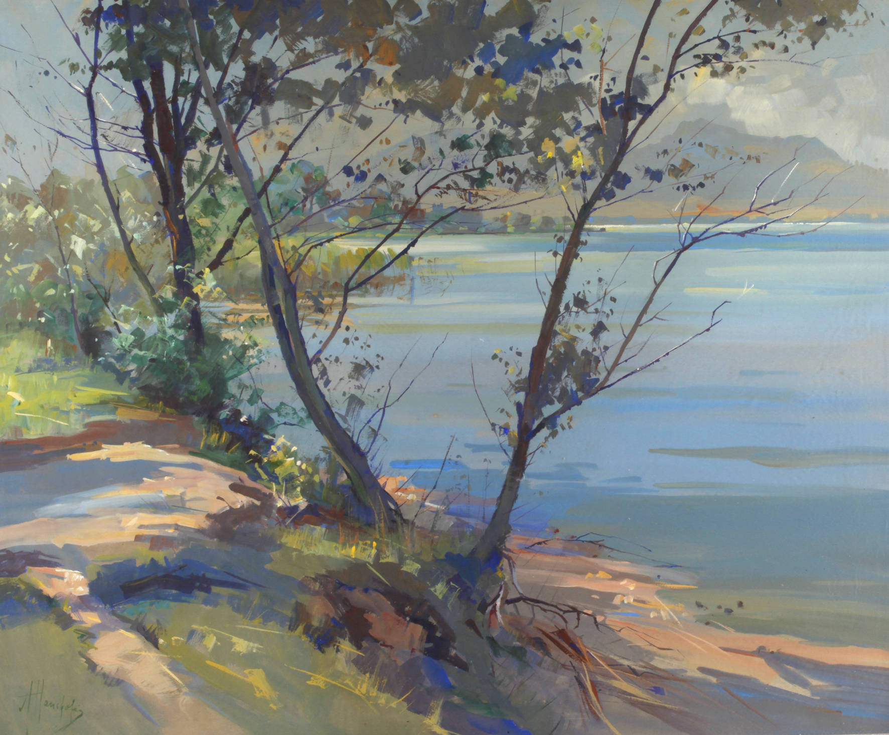 Alfred Haushofer, Sommerliche Chiemseelandschaft