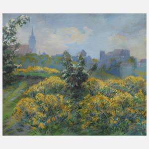 Sommerliche Stadtansicht