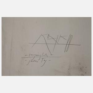 Gregor Thorsten Kozik, ”Vergänglich-jeder Tag”