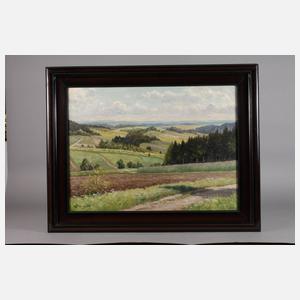 Ernst Frommhold, Vogtlandlandschaft