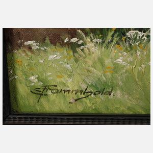 Ernst Frommhold, Vogtlandlandschaft