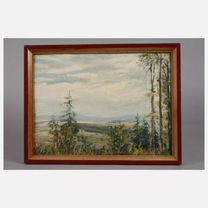 Martin Grünert, Oberfränkische Sommerlandschaft