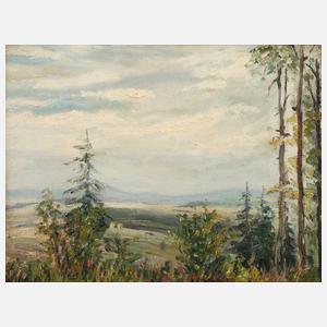 Martin Grünert, Oberfränkische Sommerlandschaft